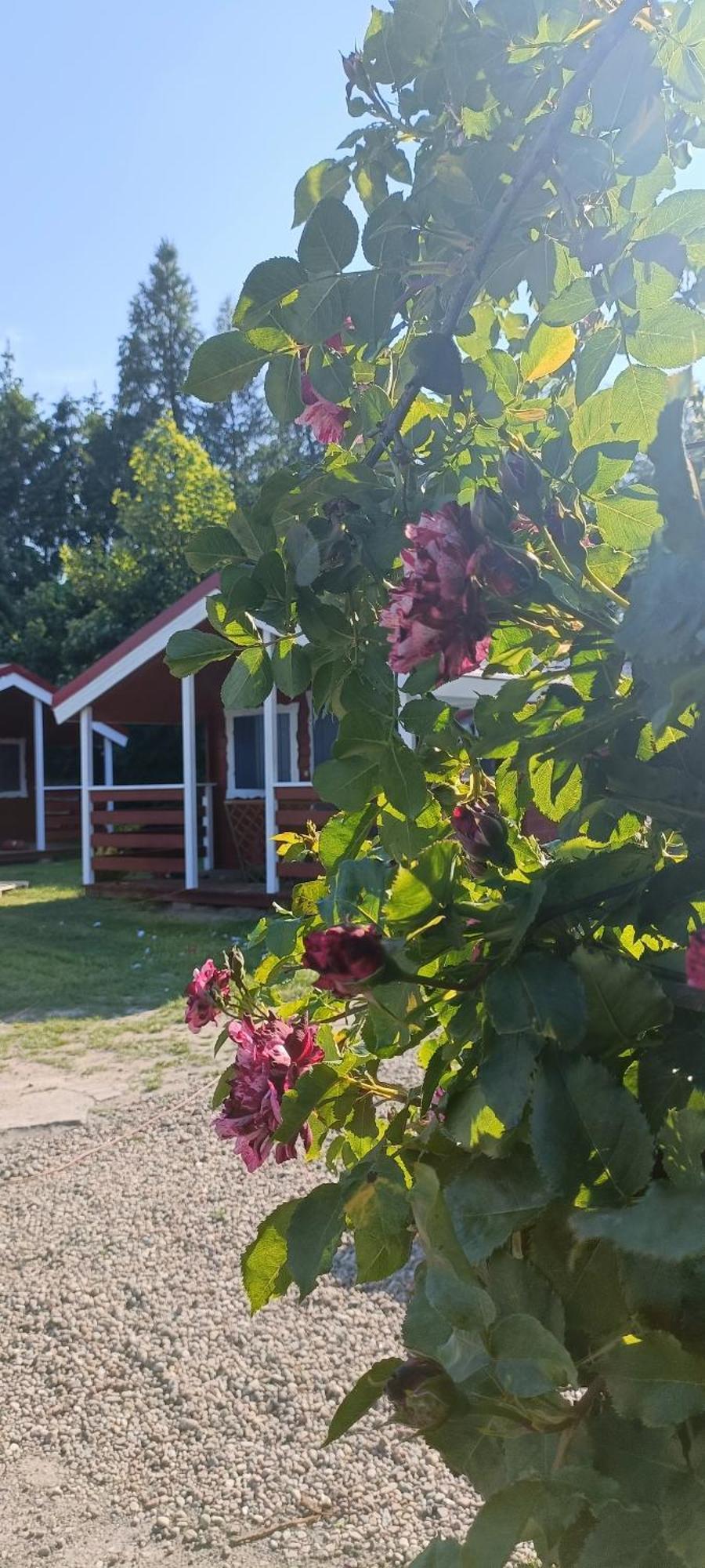 Na Zaciszu Villa Dziwnówek Exterior foto